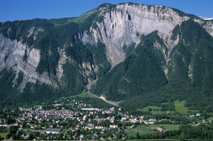 Traitement punaises de lit Petit-Bourg